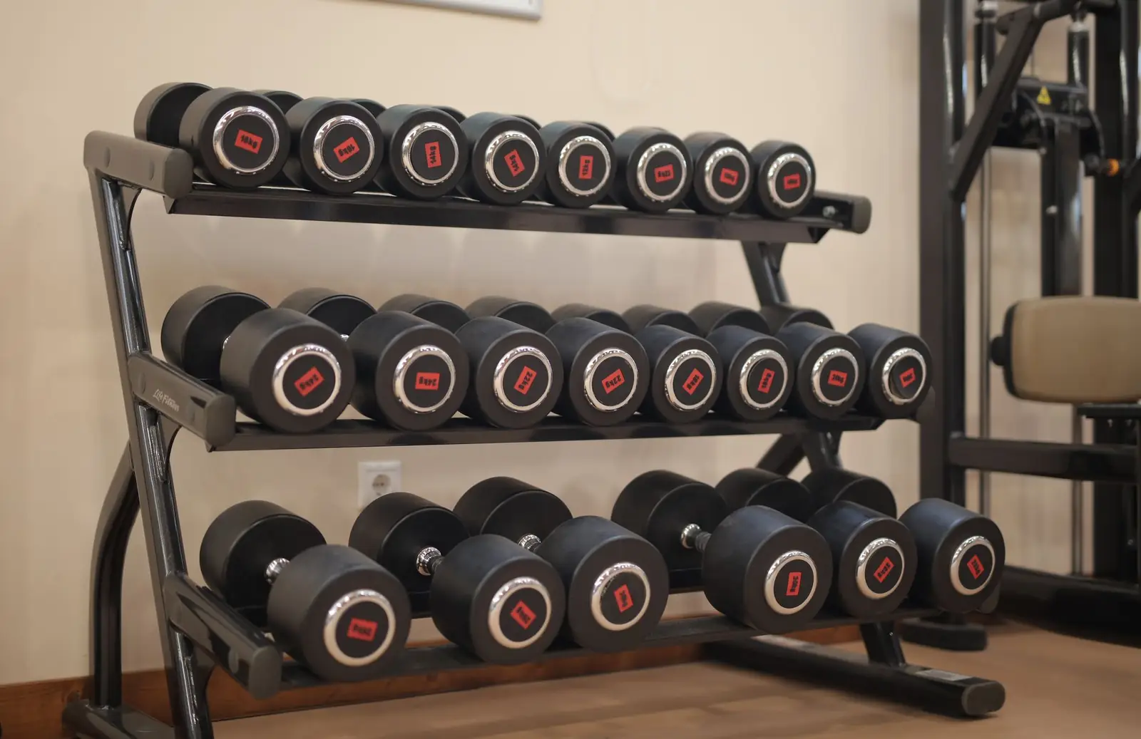 Fitness & Aktivprogramm